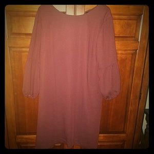 Ann Taylor dress  brand new with tags